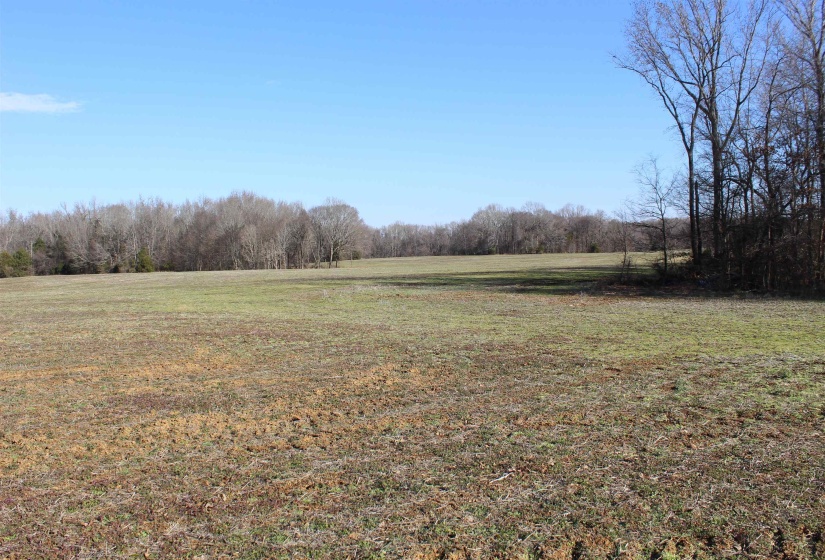 00 VILDO RD, Bolivar, Tennessee 38008, ,Land,For Sale,VILDO,10213654