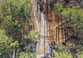 000 HWY 100 HWY, Bolivar, Tennessee 38008, ,Land,For Sale,HWY 100,10213656 000 HWY 100 HWY, Bolivar, Tennessee 38008, ,Land,For Sale,HWY 100,10213656