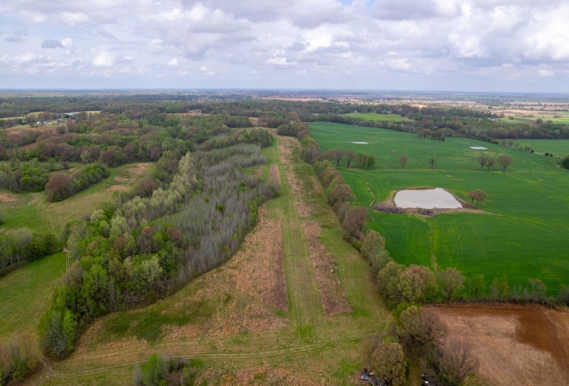 00 FORKED DEER RD, Brownsville, Tennessee 38012, 0 , 0 ,0,Land,For Sale,FORKED DEER,0,10213665