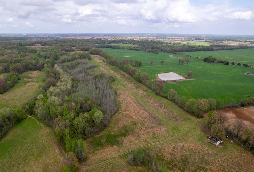 00 FORKED DEER RD, Brownsville, Tennessee 38012, 0 , 0 ,0,Land,For Sale,FORKED DEER,0,10213665