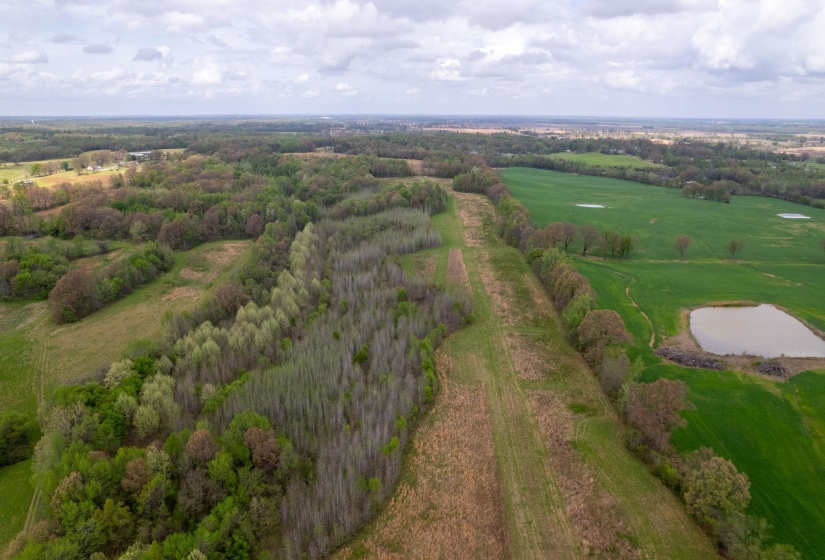 00 FORKED DEER RD, Brownsville, Tennessee 38012, 0 , 0 ,0,Land,For Sale,FORKED DEER,0,10213665