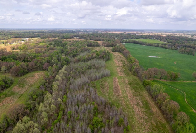 00 FORKED DEER RD, Brownsville, Tennessee 38012, 0 , 0 ,0,Land,For Sale,FORKED DEER,0,10213665