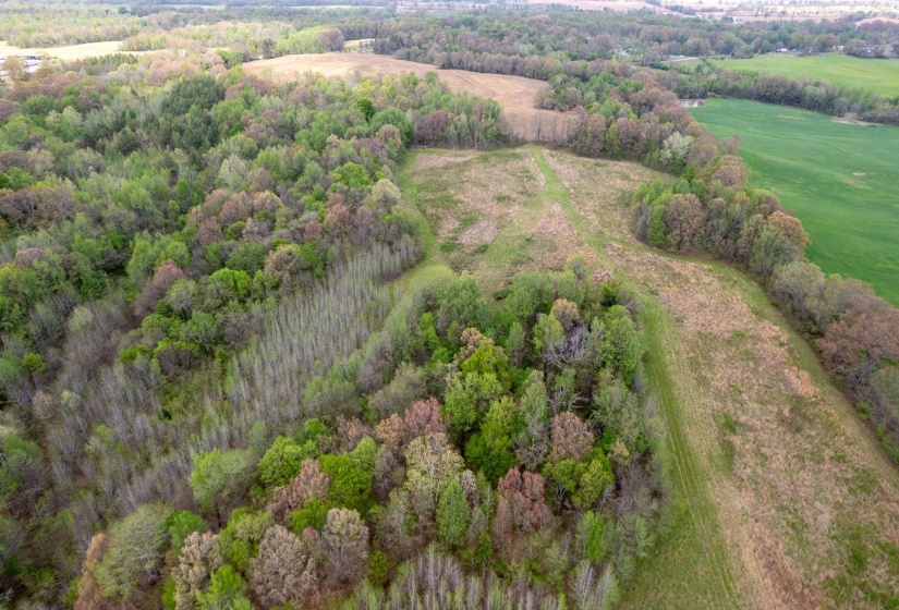 00 FORKED DEER RD, Brownsville, Tennessee 38012, 0 , 0 ,0,Land,For Sale,FORKED DEER,0,10213665