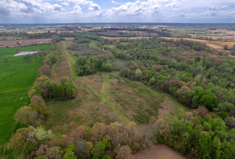 00 FORKED DEER RD, Brownsville, Tennessee 38012, 0 , 0 ,0,Land,For Sale,FORKED DEER,0,10213665