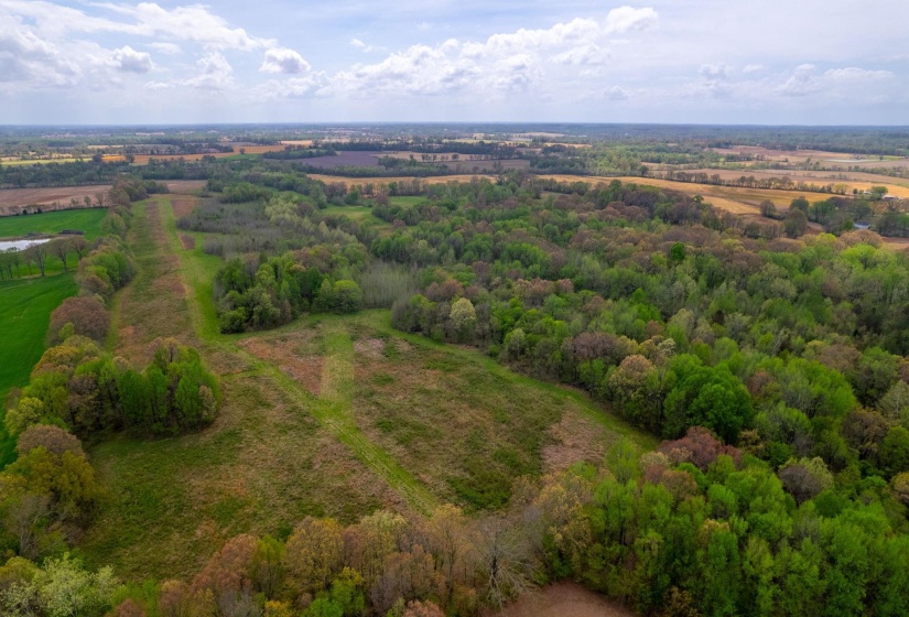 00 FORKED DEER RD, Brownsville, Tennessee 38012, 0 , 0 ,0,Land,For Sale,FORKED DEER,0,10213665