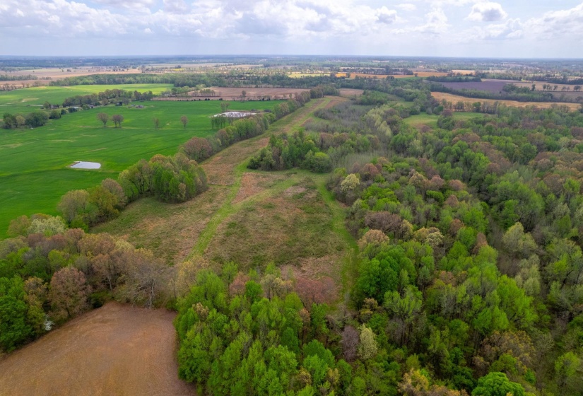 00 FORKED DEER RD, Brownsville, Tennessee 38012, 0 , 0 ,0,Land,For Sale,FORKED DEER,0,10213665