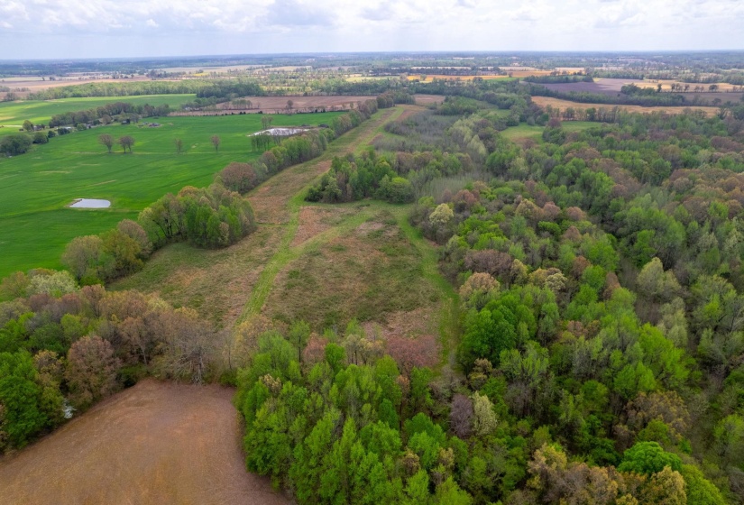 00 FORKED DEER RD, Brownsville, Tennessee 38012, 0 , 0 ,0,Land,For Sale,FORKED DEER,0,10213665