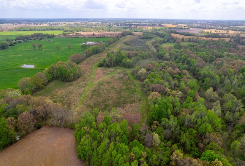 00 FORKED DEER RD, Brownsville, Tennessee 38012, 0 , 0 ,0,Land,For Sale,FORKED DEER,0,10213665