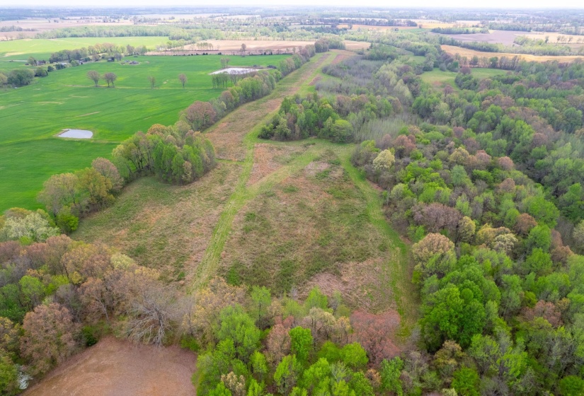 00 FORKED DEER RD, Brownsville, Tennessee 38012, 0 , 0 ,0,Land,For Sale,FORKED DEER,0,10213665