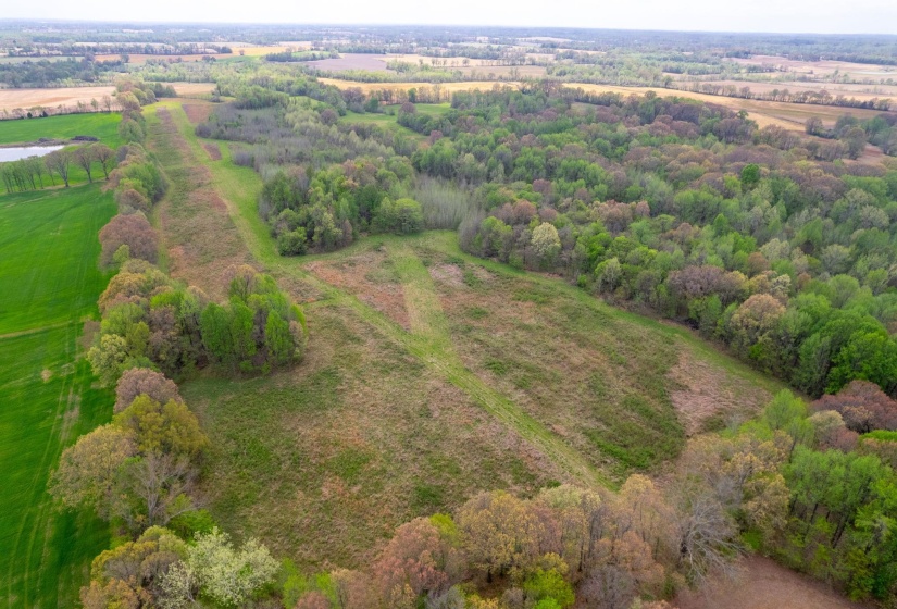 00 FORKED DEER RD, Brownsville, Tennessee 38012, 0 , 0 ,0,Land,For Sale,FORKED DEER,0,10213665