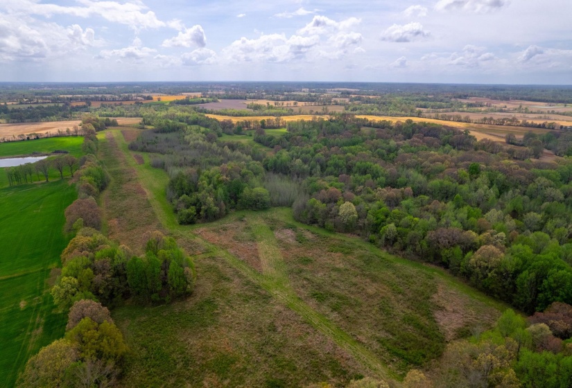 00 FORKED DEER RD, Brownsville, Tennessee 38012, 0 , 0 ,0,Land,For Sale,FORKED DEER,0,10213665