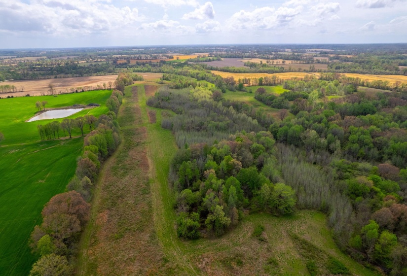 00 FORKED DEER RD, Brownsville, Tennessee 38012, 0 , 0 ,0,Land,For Sale,FORKED DEER,0,10213665
