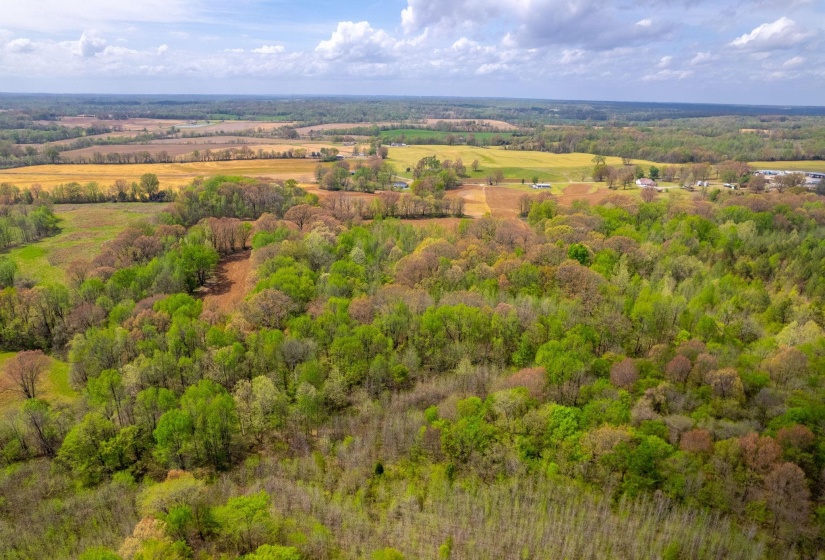 00 FORKED DEER RD, Brownsville, Tennessee 38012, 0 , 0 ,0,Land,For Sale,FORKED DEER,0,10213665