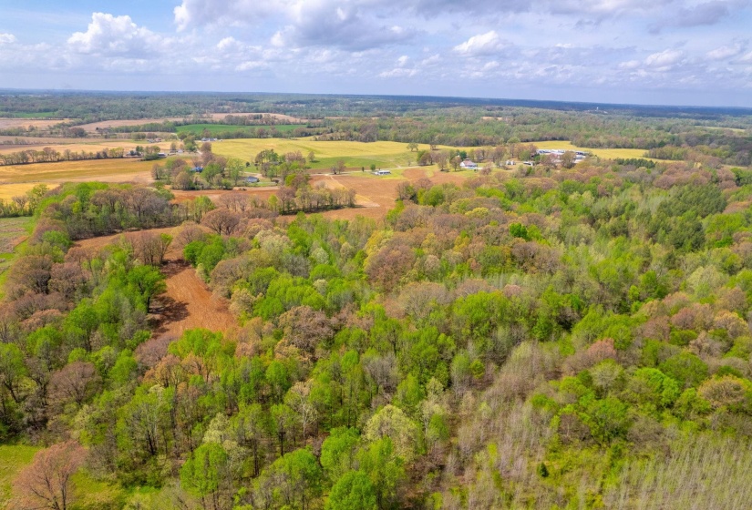 00 FORKED DEER RD, Brownsville, Tennessee 38012, 0 , 0 ,0,Land,For Sale,FORKED DEER,0,10213665