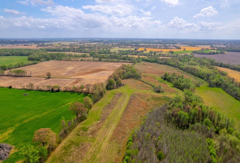 00 FORKED DEER RD, Brownsville, Tennessee 38012, 0 , 0 ,0,Land,For Sale,FORKED DEER,0,10213665