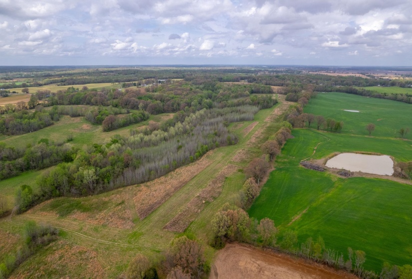 00 FORKED DEER RD, Brownsville, Tennessee 38012, 0 , 0 ,0,Land,For Sale,FORKED DEER,0,10213665