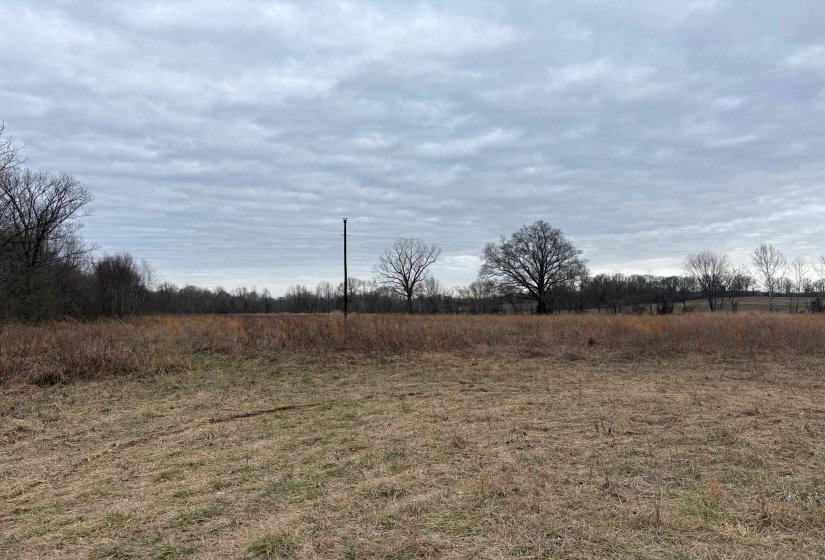 00 FORKED DEER RD, Brownsville, Tennessee 38012, 0 , 0 ,0,Land,For Sale,FORKED DEER,0,10213665