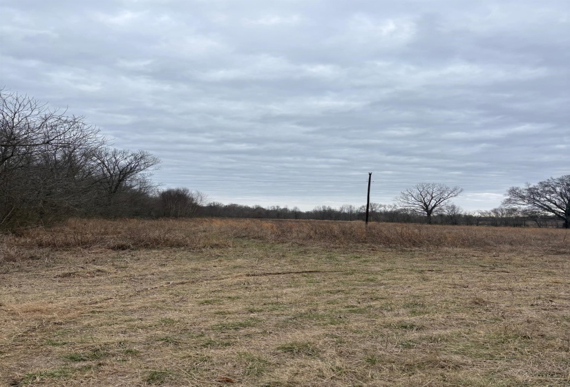 00 FORKED DEER RD, Brownsville, Tennessee 38012, 0 , 0 ,0,Land,For Sale,FORKED DEER,0,10213665