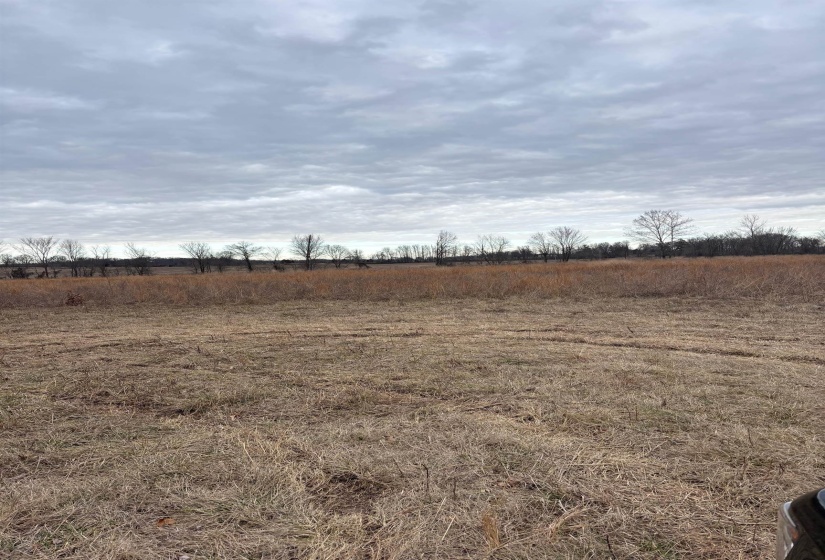 00 FORKED DEER RD, Brownsville, Tennessee 38012, 0 , 0 ,0,Land,For Sale,FORKED DEER,0,10213665