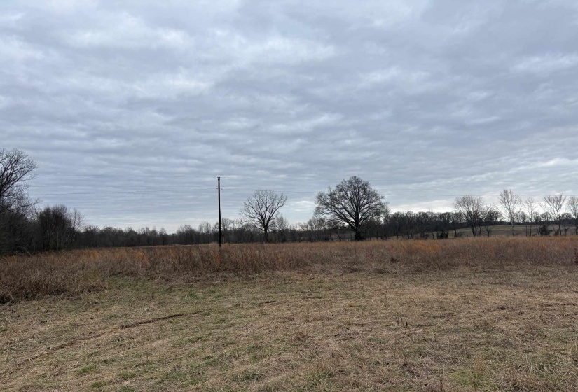 00 FORKED DEER RD, Brownsville, Tennessee 38012, 0 , 0 ,0,Land,For Sale,FORKED DEER,0,10213665