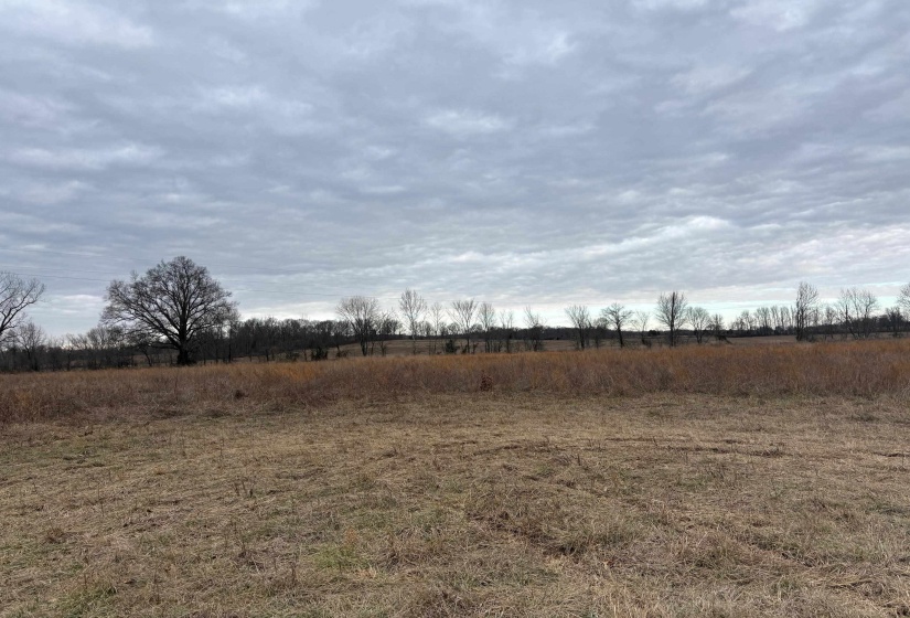 00 FORKED DEER RD, Brownsville, Tennessee 38012, 0 , 0 ,0,Land,For Sale,FORKED DEER,0,10213665