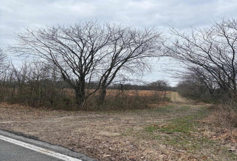 00 FORKED DEER RD, Brownsville, Tennessee 38012, 0 , 0 ,0,Land,For Sale,FORKED DEER,0,10213665