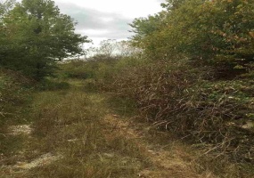 00 BLACKBURN AVE, Memphis, Tennessee 38127, ,Land,For Sale,BLACKBURN,10213669