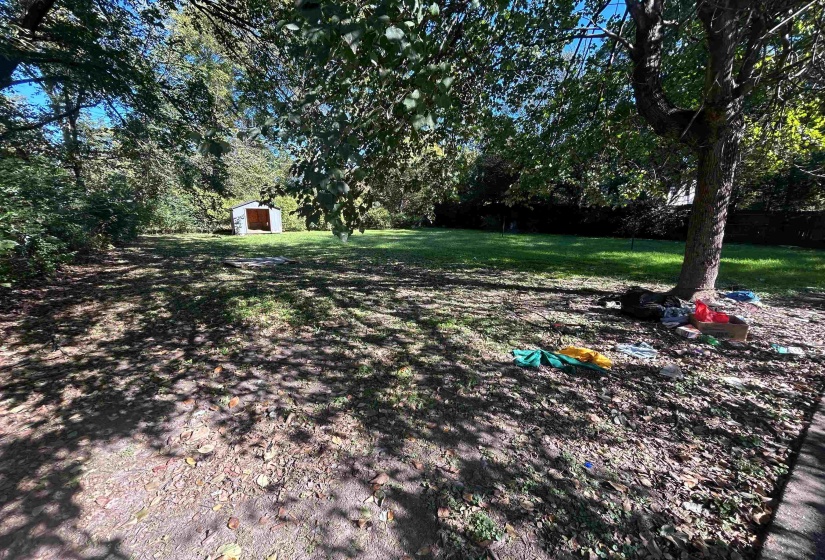 View of yard with a shed