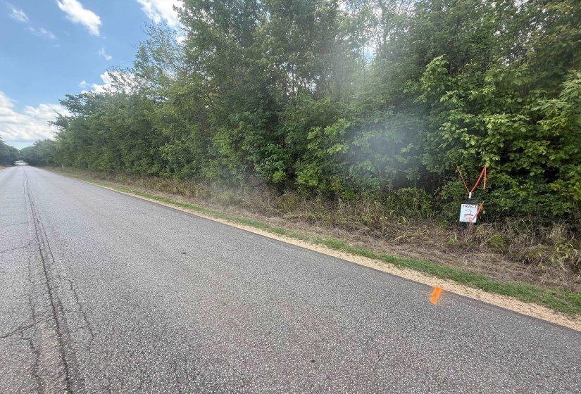 View of asphalt street