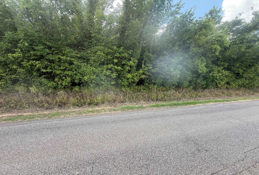 View of asphalt road