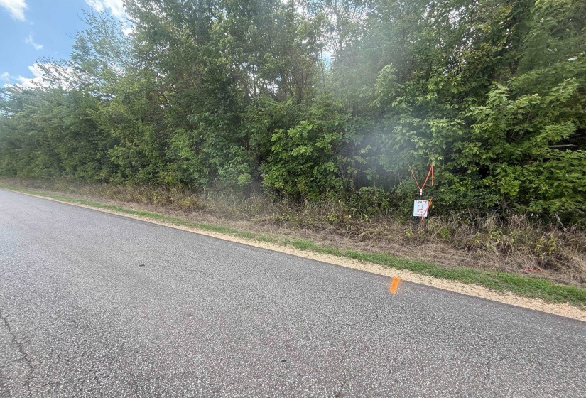 View of asphalt road