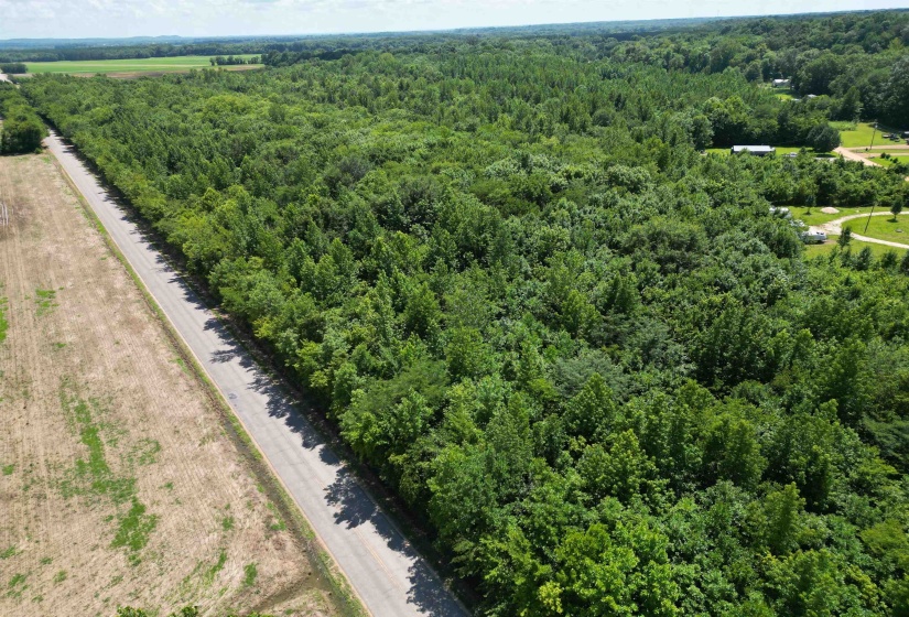 View of property location with rural landscape and a forest