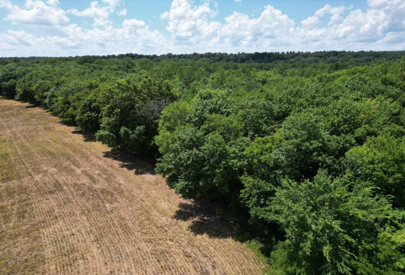 Aerial view of sparsely populated area