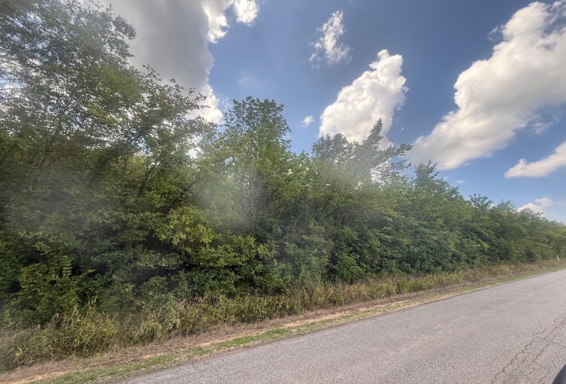 View of asphalt street featuring a forest view