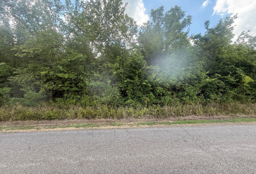 View of asphalt road