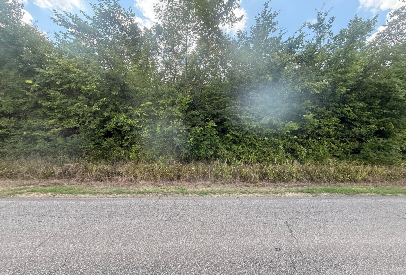 View of asphalt street