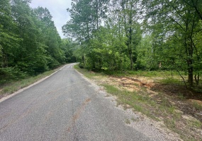 TRACT 6 BUTLER RD, Pinson, Tennessee 38366, ,Land,For Sale,BUTLER,10213686 TRACT 6 BUTLER RD, Pinson, Tennessee 38366, ,Land,For Sale,BUTLER,10213686