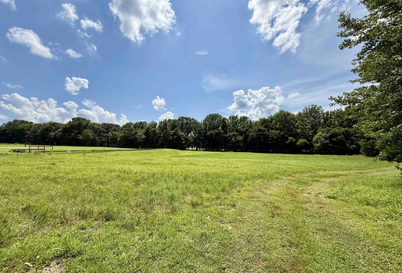 6055 FEATHERS CHAPEL DR, Somerville, Tennessee 38068, ,Land,For Sale,FEATHERS CHAPEL,10213689