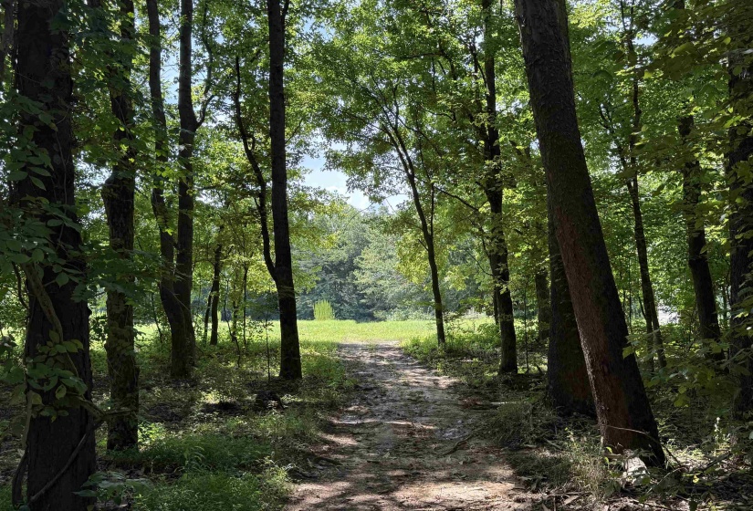 6055 FEATHERS CHAPEL DR, Somerville, Tennessee 38068, ,Land,For Sale,FEATHERS CHAPEL,10213689