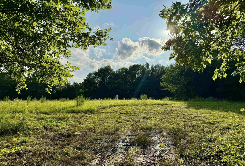 6055 FEATHERS CHAPEL DR, Somerville, Tennessee 38068, ,Land,For Sale,FEATHERS CHAPEL,10213689