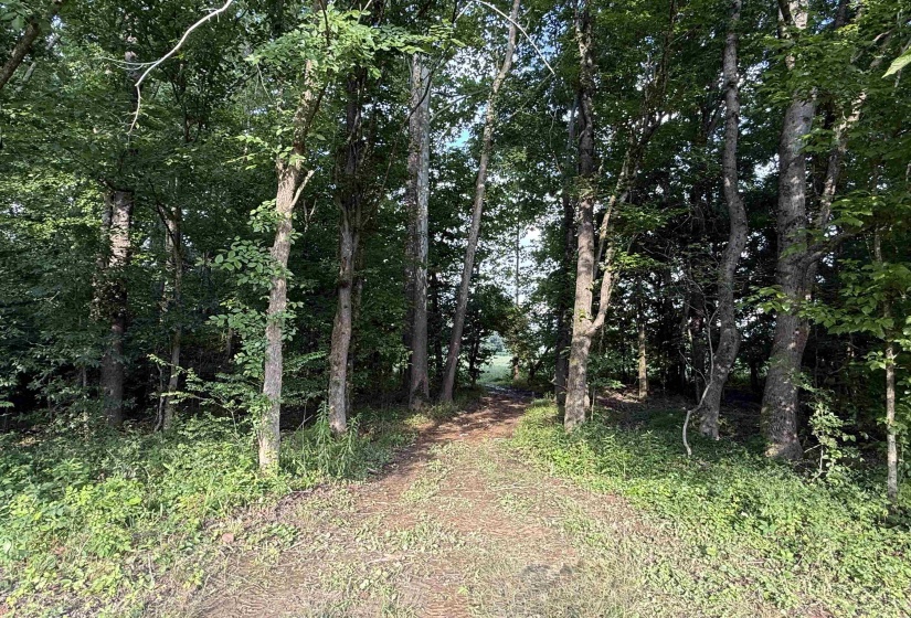 6055 FEATHERS CHAPEL DR, Somerville, Tennessee 38068, ,Land,For Sale,FEATHERS CHAPEL,10213689