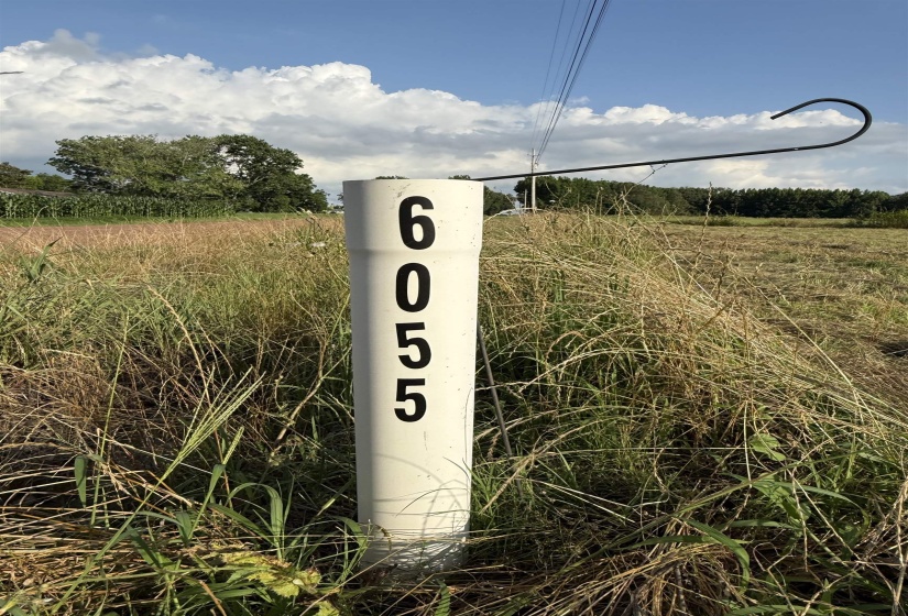 6055 FEATHERS CHAPEL DR, Somerville, Tennessee 38068, ,Land,For Sale,FEATHERS CHAPEL,10213689