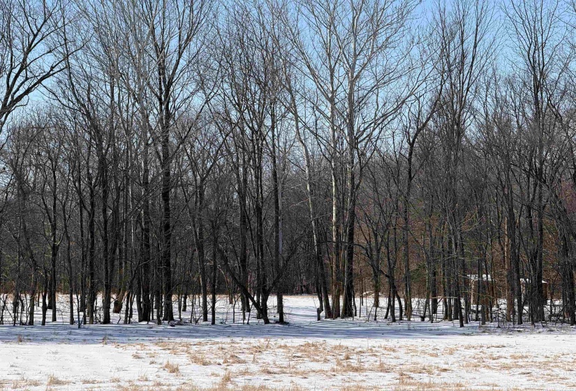 6055 FEATHERS CHAPEL DR, Somerville, Tennessee 38068, ,Land,For Sale,FEATHERS CHAPEL,10213689