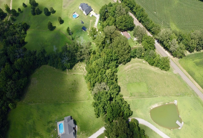 6055 FEATHERS CHAPEL DR, Somerville, Tennessee 38068, ,Land,For Sale,FEATHERS CHAPEL,10213689