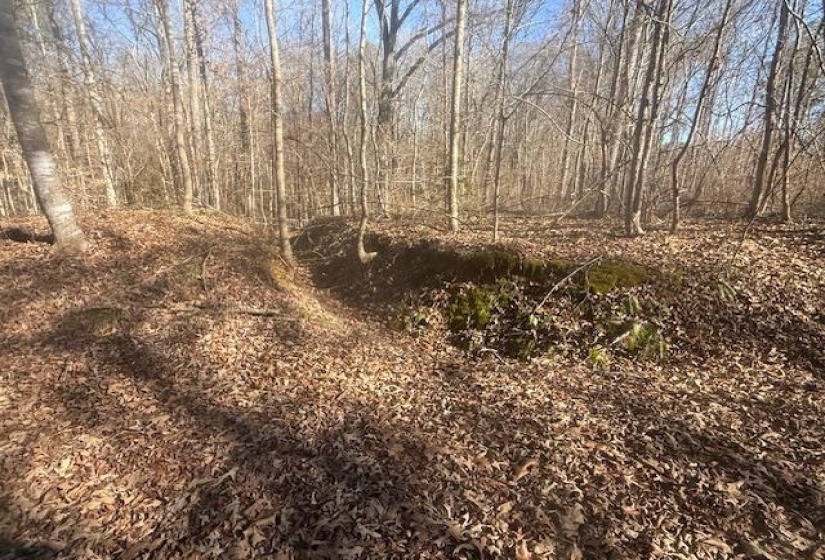 View of undeveloped land