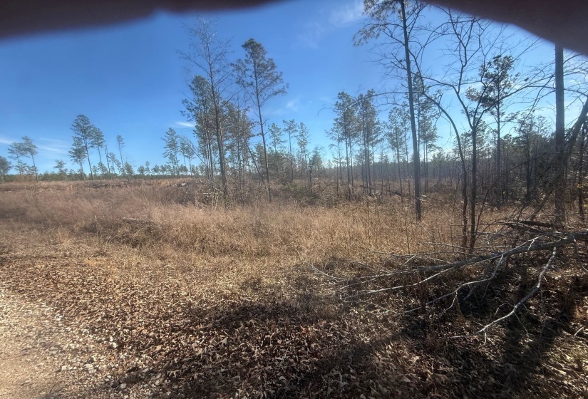 View of local wilderness featuring rural landscape