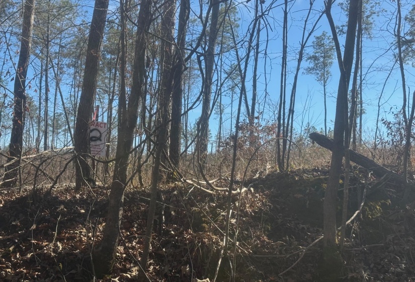 View of undeveloped land