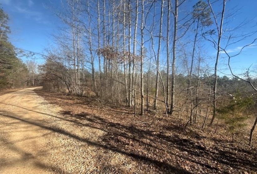 View of dirt / gravel road