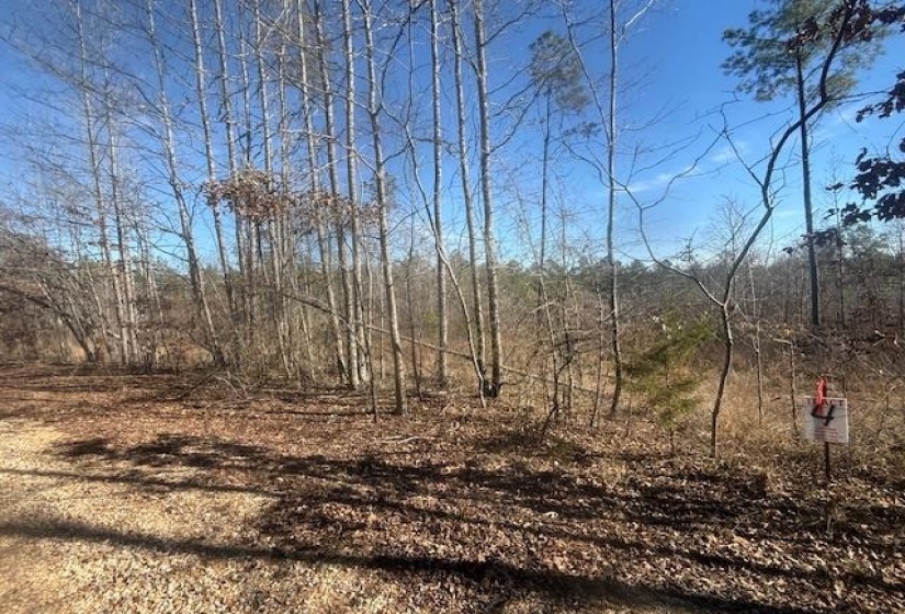 View of undeveloped land