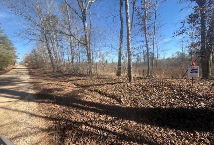 View of dirt / gravel road